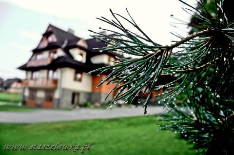 Ośrodek Staszelówka Ząb